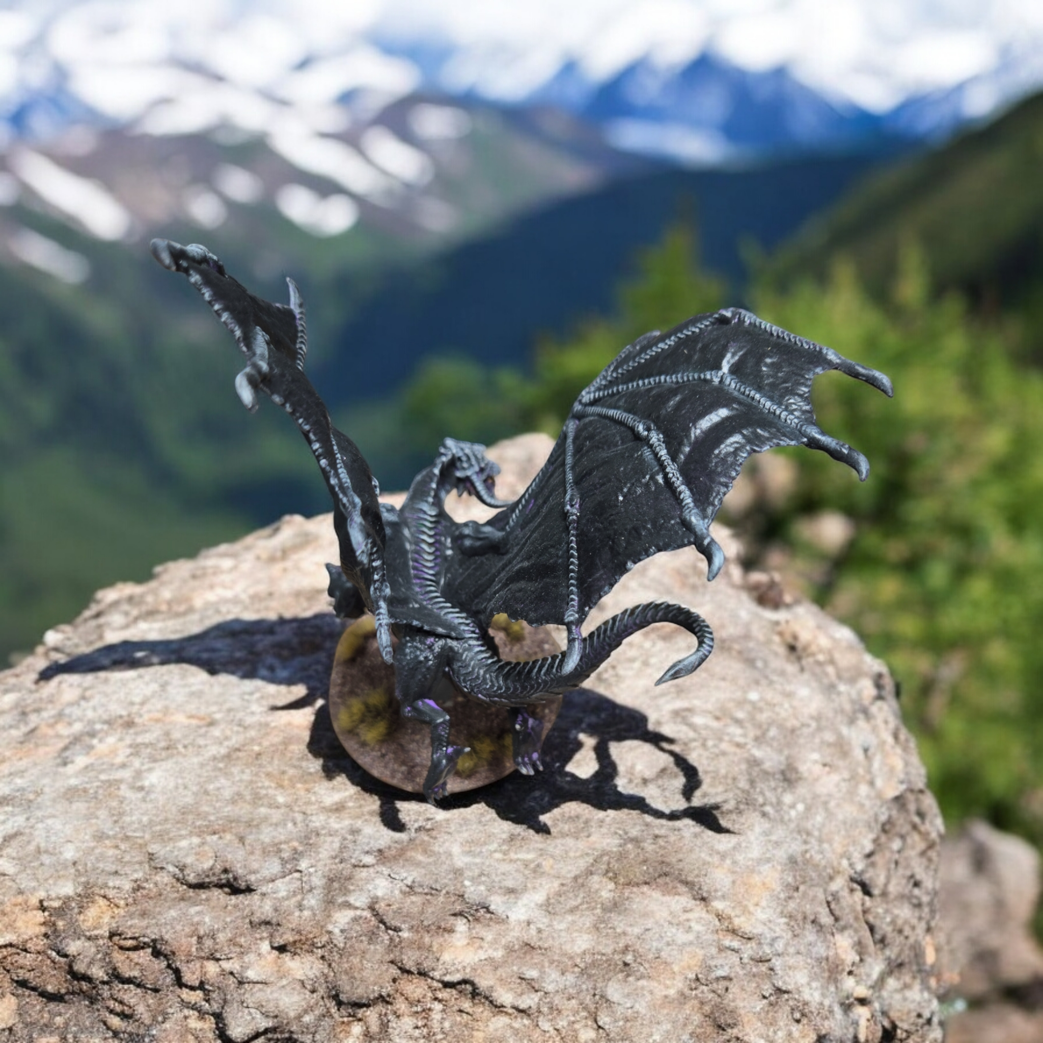 Young Black Dragon